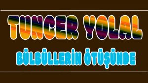 Bülbüllerin Ötüşünde ilahi Sözleri