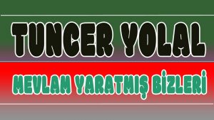 Mevlam Yaratmış Bizleri ilahi Sözleri