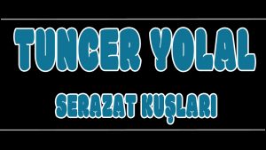 Serazat Kuşları ilahi Sözleri