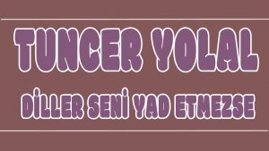 Diller Seni Yad Etmezse ilahi Sözleri