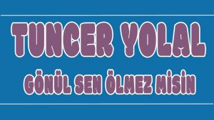Gönül Sen Ölmez Misin ilahi Sözleri