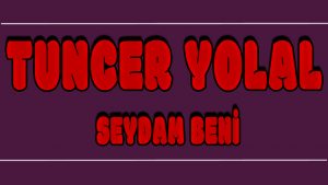 Seydam Beni ilahi Sözleri