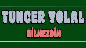 Bilmezdim ilahi Sözleri