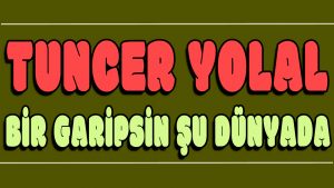 Bir Garipsin Şu Dünyada ilahi Sözleri