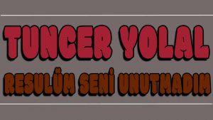 Resulüm Seni Unutmadım ilahi Sözleri