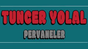 Pervaneler ilahi Sözleri