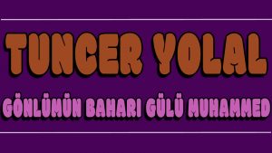 Gönlümün Baharı Gülü Muhammed ilahi Sözleri