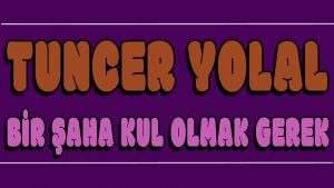 Bir Şaha Kul Olmak Gerek ilahi Sözleri