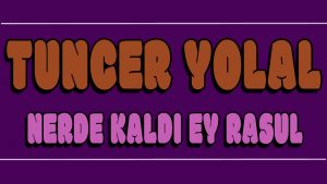Nerde Kaldın Ey Rasul ilahi Sözleri