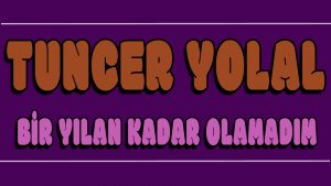 Bir Yılan Kadar Olamadım ilahi Sözleri