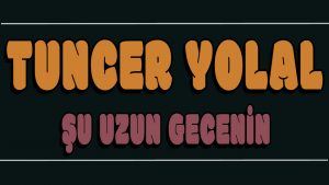 Şu Uzun Gecenin ilahi Sözleri