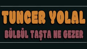 Bülbül Taşta Ne Gezer ilahi Sözleri