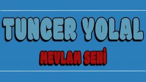 Mevlam Seni ilahi Sözleri