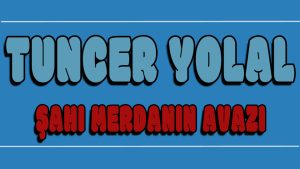 Şahı Merdanın Avazı ilahi Sözleri