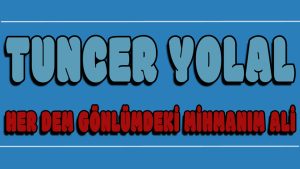 Her Dem Gönlümdeki Mihmanım Ali ilahi Sözleri